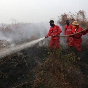 DPRD Bangka Belitung Kepincut Program Perubahan Iklim