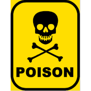 Tanggapan PT Buana Eltra Terkait Keracunan Massal