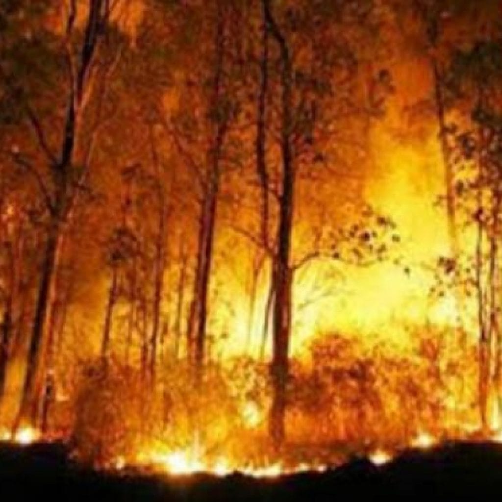 Cegah Bencana Karthula Dengan Cepat, Sumsel Segera Tetapkan Siaga Darurat