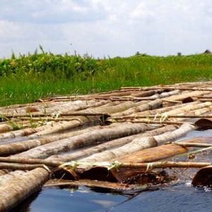 Kapal Patroli 4001 Elang Bondol Amankan Kapal Ilegal Logging