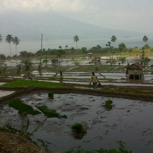 Harapkan Pacu Sektor Riil