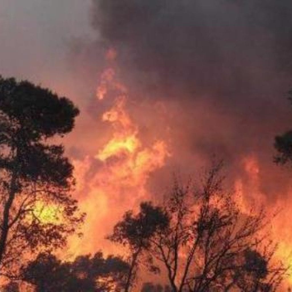 Puncak Kemarau Pada Agustus 2020, BPBD Sumsel : Hotspot di Sumsel Diprediksi Meningkat