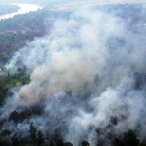 Buka Lahan Dengan Membakar, Polisi Tangkap Petani di Musi Rawas