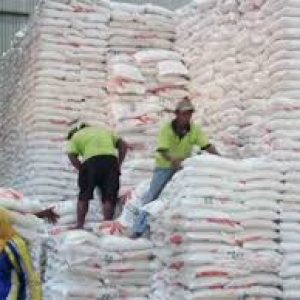 Beras Impor Masuk, Berapa Harga Jualnya?