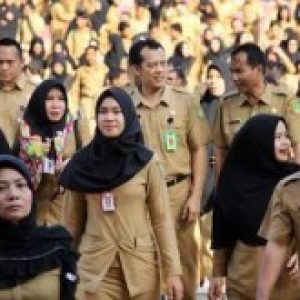 Catat! Tahun Ini Pemprov Sumsel Tak Buka Loker CPNS