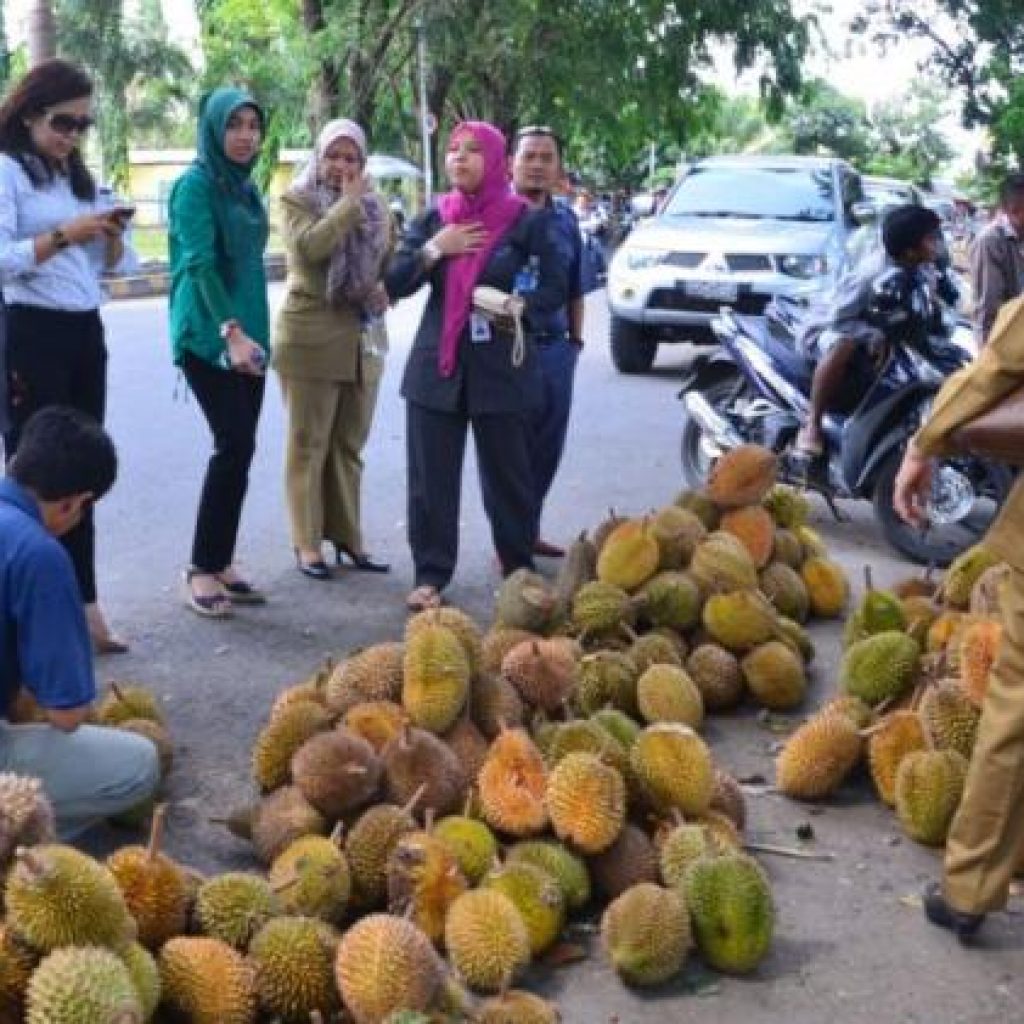 Dipilih-dipilih! Durian di Jalan Balayasa Lahat Dijual Murah