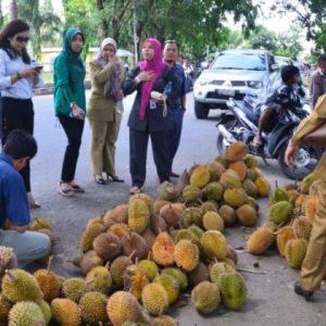Dipilih-dipilih! Durian di Jalan Balayasa Lahat Dijual Murah