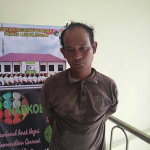 Merasa Tak Lagi Diburu Polisi, Pengedar Narkoba Pulang Kampung Malah Diborgol