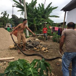 Python 3 Meter Gegerkan Warga Jogoboyo