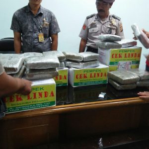 Paket Ganja Berbalut Pempek Ditahan Petugas Bandara SMB II, Begini Modusnya