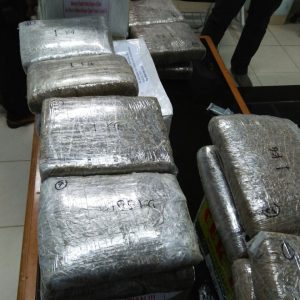 Paket Ganja Berbalut Pempek Ditujukan ke Alamat Ini