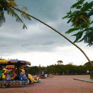 Mengais Rezeki di Taman Adipura Kota Muara Enim