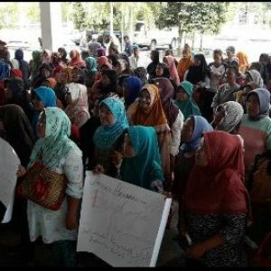 Ratusan Pengrajin Purun Geruduk Kantor Bupati OKI