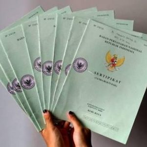 Belum Punya Sertifikat Tanah? Nih Cara Buatnya