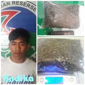 Bandar Ganja Diciduk Saat Enak-Enak Menghisap
