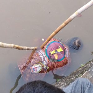 Mayat Berbaju Paslon Wako-Wawako Palembang Gegerkan Warga 26 Ilir