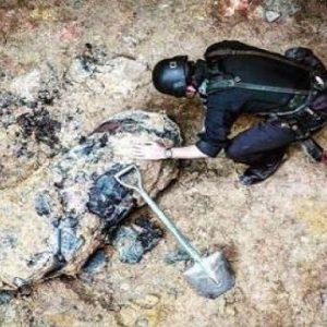 Heboh ! Bom Seberat 500 Kg Ditemukan di Berlin