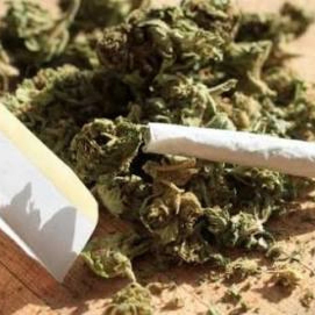 IBRA Ditangkap Bawa Ganja 20 Kg