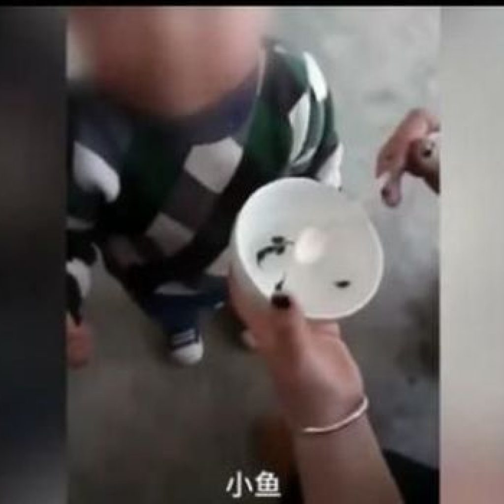 Gila ! Ibu Ini Tega Beri Makan Anak Dengan Kecebong