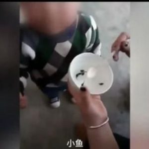 Gila ! Ibu Ini Tega Beri Makan Anak Dengan Kecebong