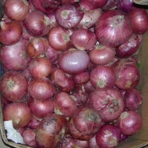 Bawang Merah Palsu Masuk Ke Indonesia