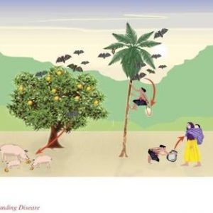 Waspada Virus Nipah Berpotensi Menyebar Ke Indonesia