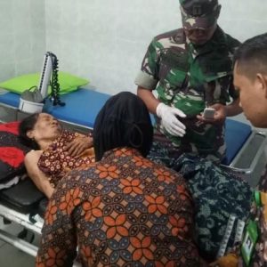 Warga Jambi Diserang Harimau Saat Berkebun