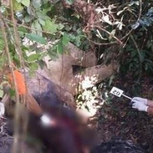 Hadiah 135 Juta Bagi Pemberi Informasi Pembunuhan Gajah Bunta Ini