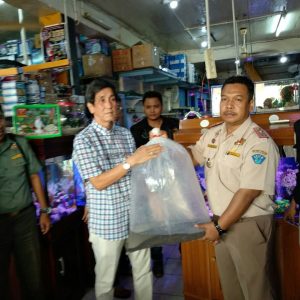 Ikan Aligator Beredar di Pasar, BPKIM Imbau Warga Serahkan Atau Pidana Menanti