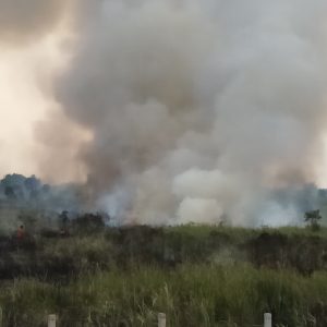 Kebakaran Lahan di Ogan Ilir Semakin Mendekat ke JSC