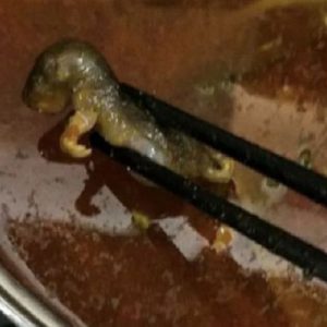 Bangkai Tikus Dalam Sup, Restoran Ini Merugi hingga Rp 2 Triliun