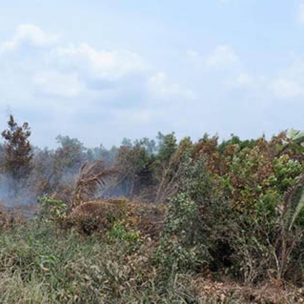 BPBD Sumsel Akan Fokus 300 Desa Yang Rawan Karthula