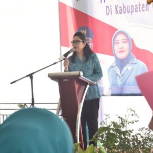 PKK Sumsel Targetkan Satu PAUD Satu Desa