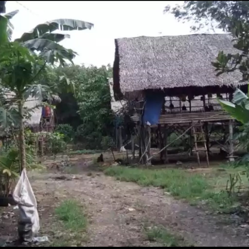 Usaha Potong Ayam di Lahat Banyak Tak Kantungi Izin