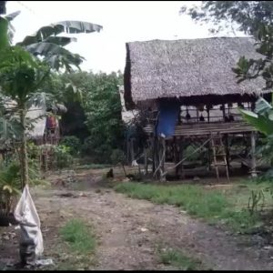 Usaha Potong Ayam di Lahat Banyak Tak Kantungi Izin