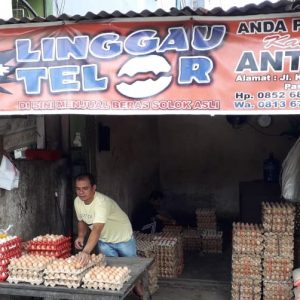 Harga Pakan dan Cuaca Pengaruhi Kenaikan Harga Telur Ayam