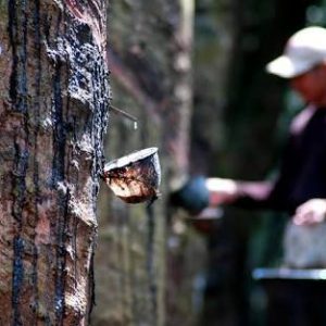 Gaet Investasi, Pemerintah Bahas Relaksasi Industri Serbuk Karet dan Rokok