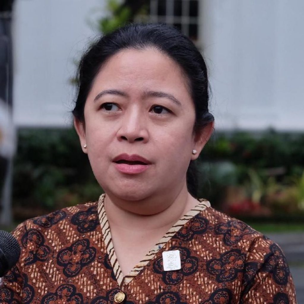 369 Miliar Harta Kekayaan yang Dimiliki Puan Maharani