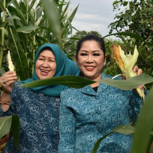 Agrowisata Gelar Teknologi Pusat Edukasi Masyarakat
