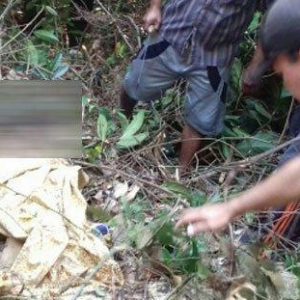 Warga Geger, Sesosok Mahasiswi Ditemukan Meninggal Tanpa Busana Di Kebun Karet