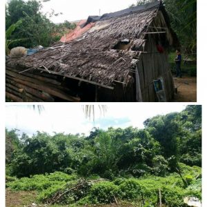 Alhamdulillah..Nuraini Diberikan Tanah Wakaf dari Warga Dermawan