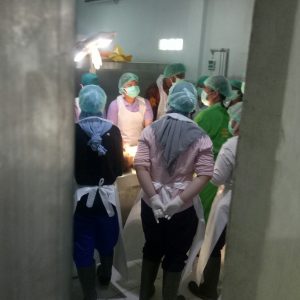 Niat Mengambil Layangan Rahmat Tersengat listrik