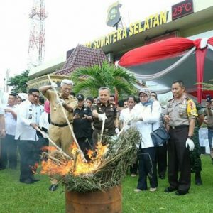 Ribuan Pil Ekstasi Diblender, Puluhan Batang Ganja Dibakar