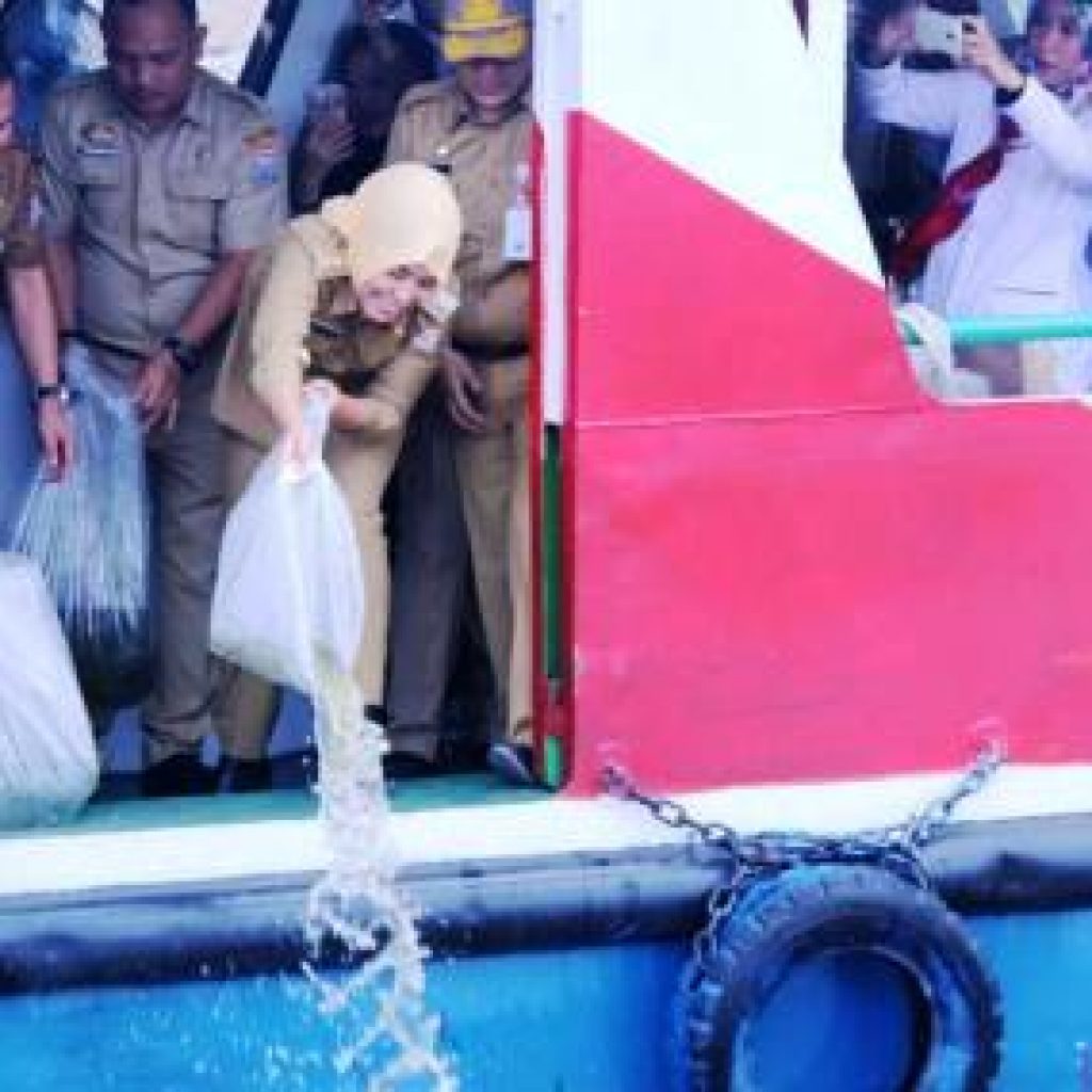 Ribuan Benih Ikan Ditebar Fitri di Sungai Musi