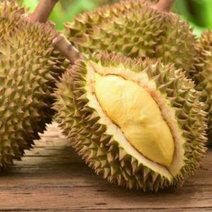 Kebanyakan Makan Durian, Sopir Angkot Tewas Berlumuran Darah