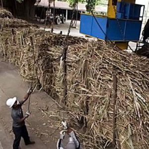 Tiga Pabrik Gula Akan Beroperasi Di Sumsel