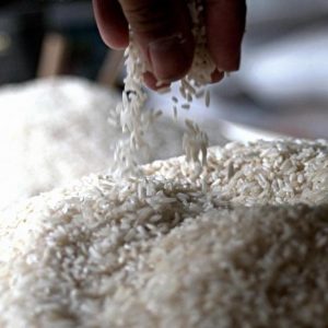 Bulog Siapkan 260 Ton Beras Perbulan untuk ASN Sumsel