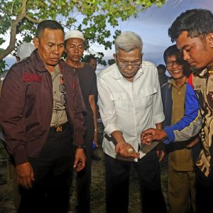 Pulau Maspari, Surganya Kawanan Penyu Sisik dan Penyu Hijau