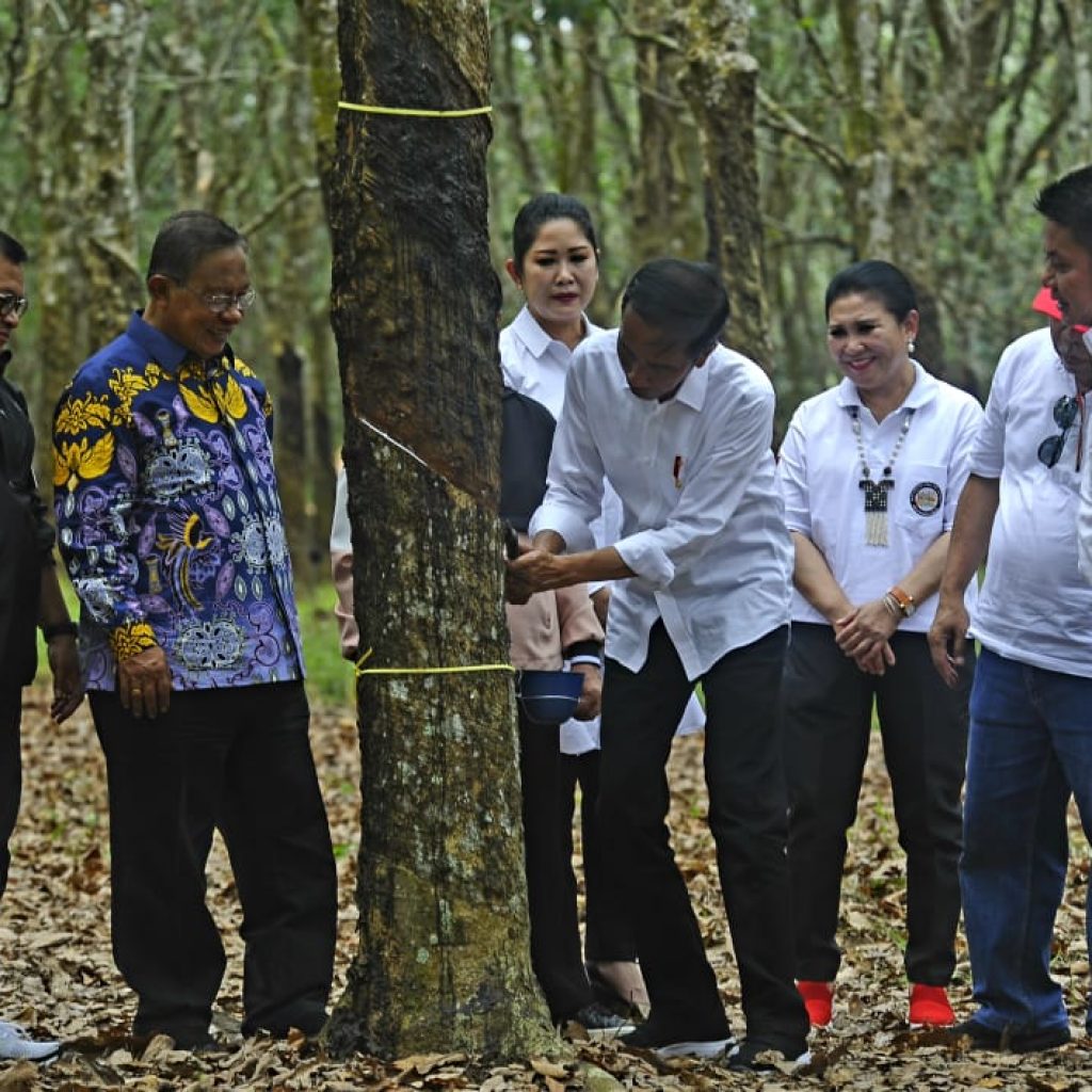 Jokowi Bakal Tingkatkan Harga Karet Dengan Tiga Cara