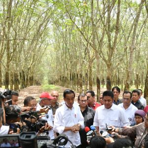 Presiden Jokowi Restui Pabrik Ban Berdiri di Sumsel